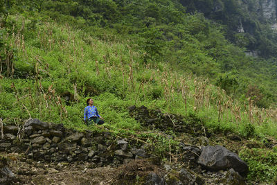 Rear view of man on rock in forest