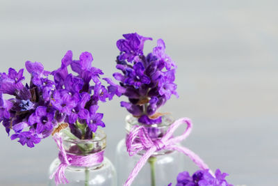 Close-up of purple flowers in vase