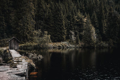 Scenic view of lake in forest