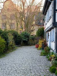 Narrow walkway leading to footpath