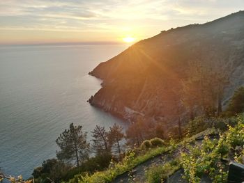 Scenic view of sea during sunset