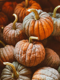 Close-up of pumpkin for sale at market