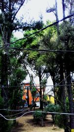 People in forest against sky