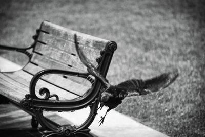 High angle view of horse cart on bench