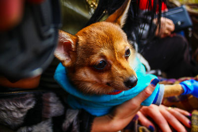 Close-up of person with dog