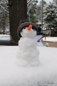 Close-up of bird on snow