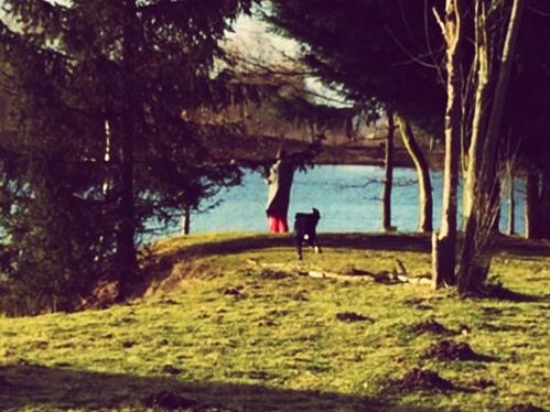 tree, grass, leisure activity, lifestyles, full length, water, rear view, nature, tranquility, lake, day, men, field, growth, green color, outdoors, tranquil scene, sky