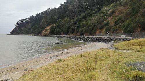 Scenic view of beach against sky