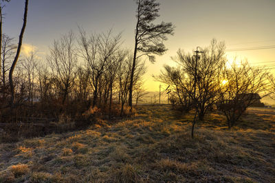 Bare trees on landscape against sky