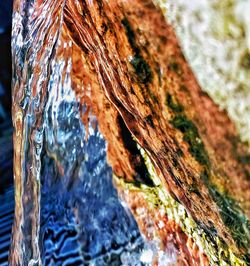Full frame shot of tree trunk