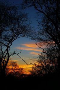 Silhouette of bare trees against sky at sunset