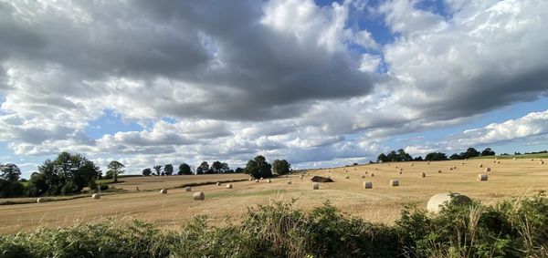 Scenic view of field against sky