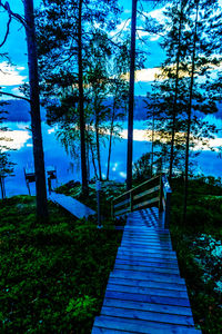 Empty walkway along trees