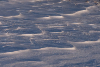 Full frame shot of land