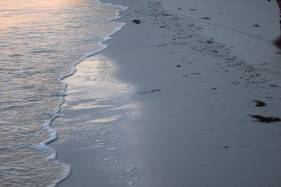 Aerial view of a beach