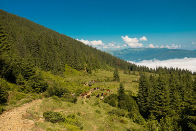 Scenic view of landscape against sky