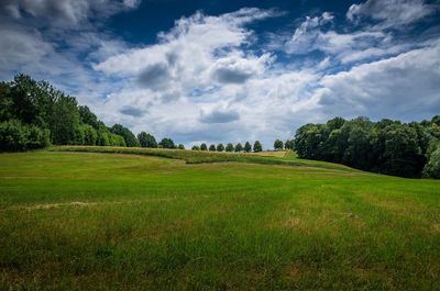 Scenic view of field against sky