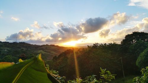 Scenic view of landscape against sky