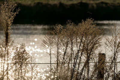 Scenic view of lake against sky during winter