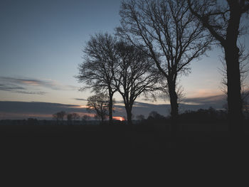 Silhouette bare tree on field against sky at sunset