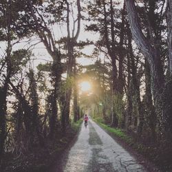 Man on road amidst trees against sky