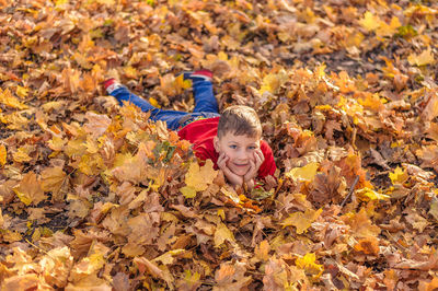 Portrait of boy on maple leaves during autumn