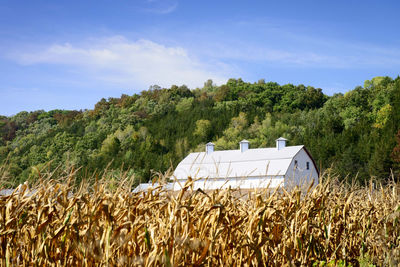Scenic view of farm against sky