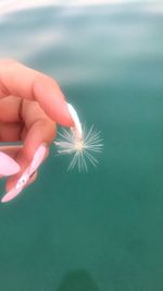 Close-up of hand holding dandelion