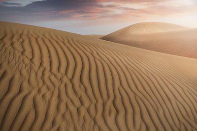 Sand dune in desert against sky