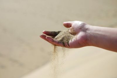 Cropped image of hand holding sand