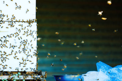 Close-up of illuminated lighting equipment on land
