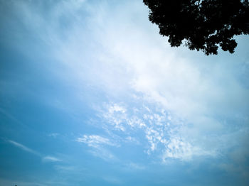 Low angle view of tree against sky