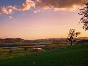 Scenic view of landscape against sky during sunset