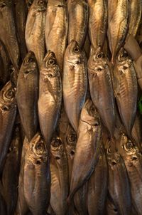 Full frame shot of fish in market