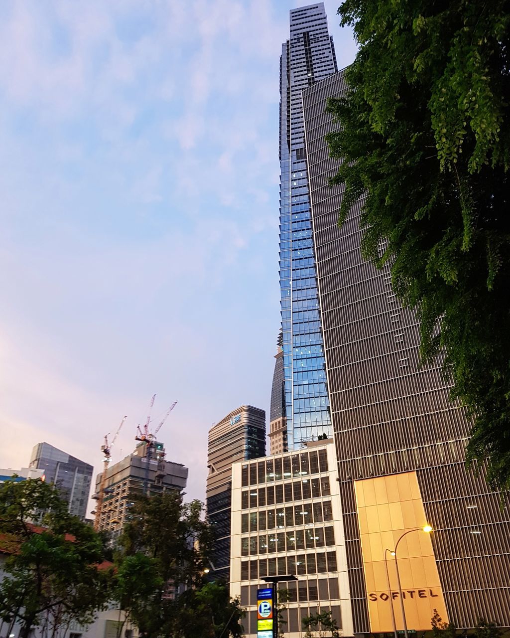 architecture, building exterior, built structure, skyscraper, city, tall - high, tree, modern, low angle view, growth, outdoors, travel destinations, downtown district, sky, no people, day, cityscape