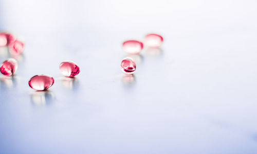 Close-up of chess pieces on white background