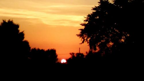 Silhouette trees at sunset