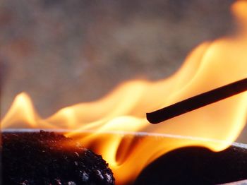 Close-up of leaf against sky