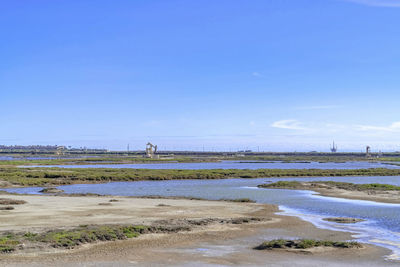 Scenic view of beach against blue sky