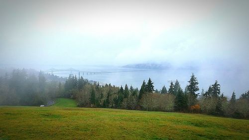 Scenic view of landscape against sky