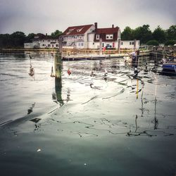 Reflection of built structure in water