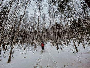 Rear view of woman walking in forest