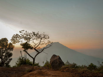 Scenic view of landscape against sky during sunset