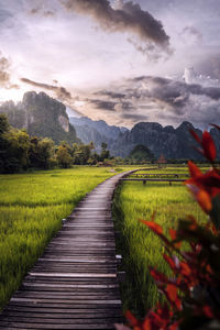 Scenic view of landscape against sky