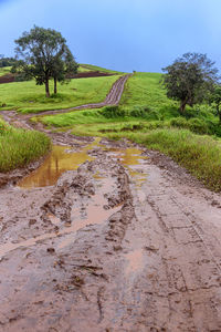 Scenic view of dirt road by trees on field against sky