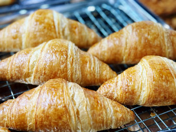 Close-up of food