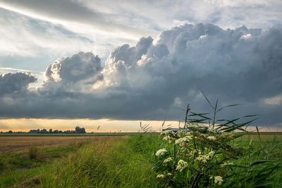 Building storm clouds over the countryside