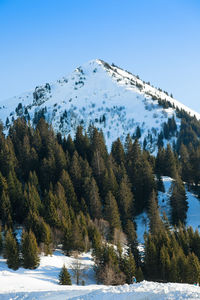 Scenic view of snow covered mountain against clear sky