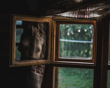 Close-up of cat looking through window