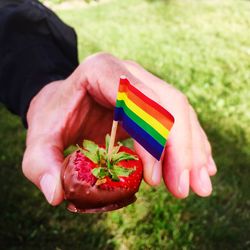 Close-up of hand holding bouquet of plant on field